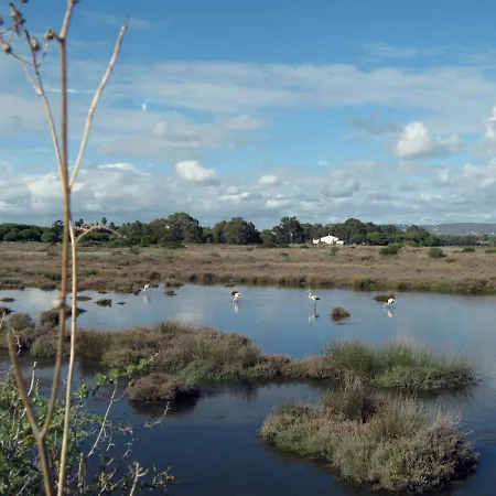 Victory Village 3a Apartment *