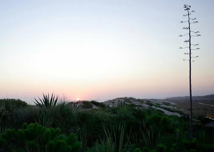 Victory Village 3a アパート