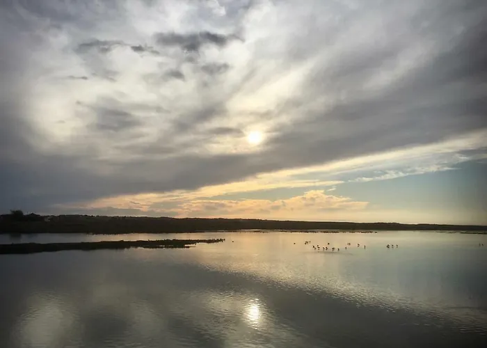 アパート Victory Village 3a *