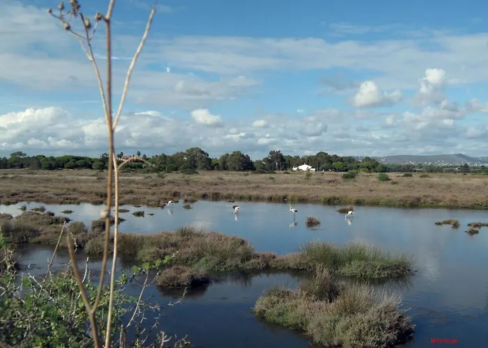 Victory Village 3a アパート *